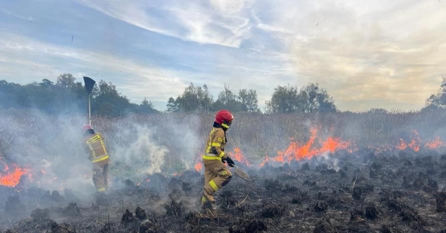 About 70 hectares of Polish Biebrza National Park were affected by a fire